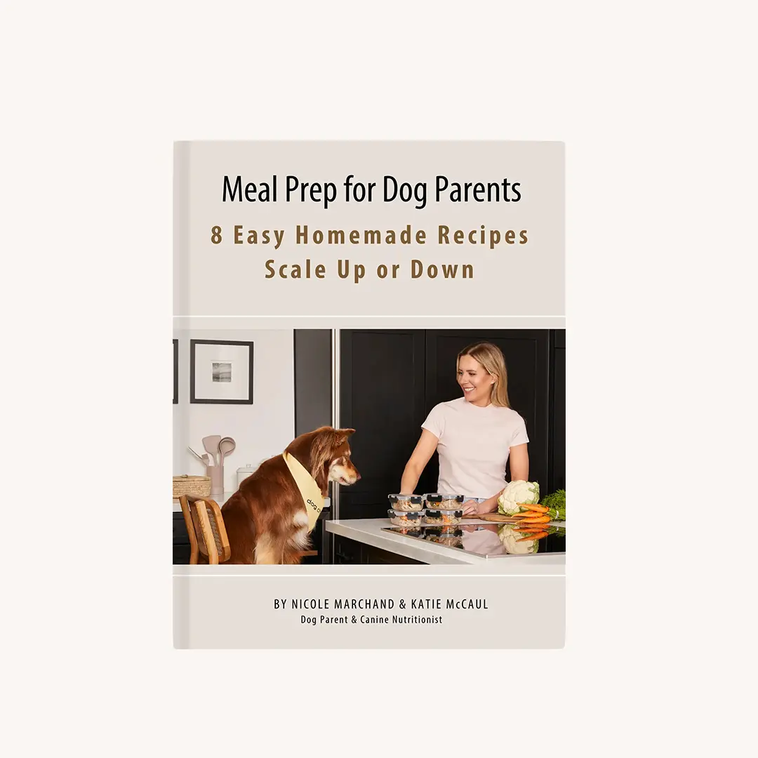 Cooking Guides
